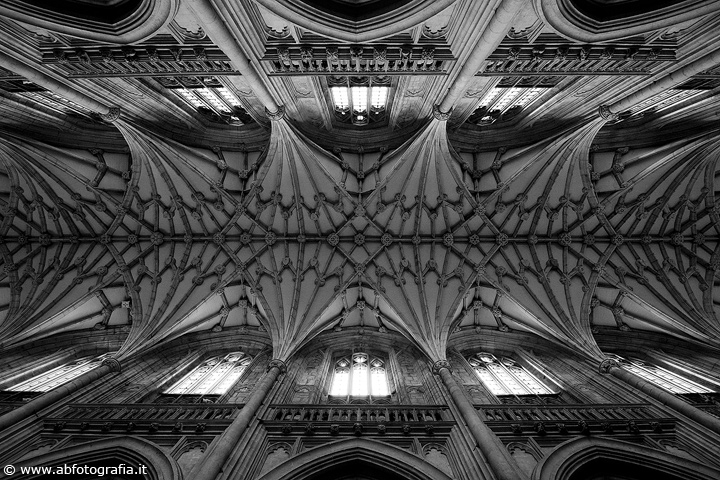 Volte della navata centrale, Winchester Cathedral - Inghilterra