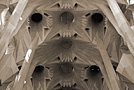 Particolare della volta, Sagrada Familia, Barcellona - Spagna