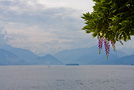 Vista del Lago Maggiore, Santa Caterina del Sasso - Italia